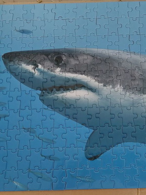 Puzzle 250 pieces used