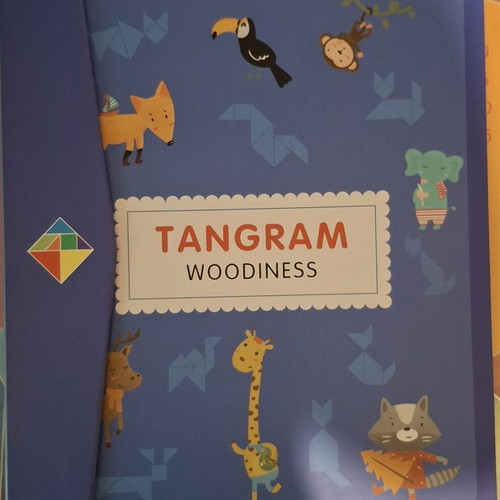Tangram wooden magnetic puzzle book for kids like new
