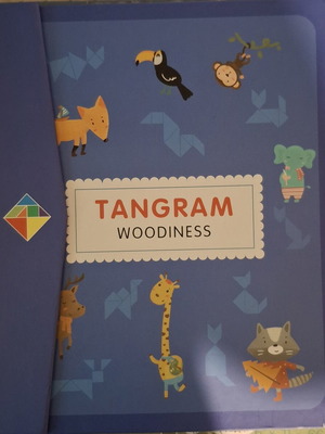 Tangram wooden magnetic puzzle book for kids like new