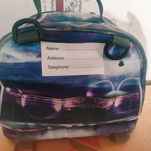 Lunch bag used, good condition