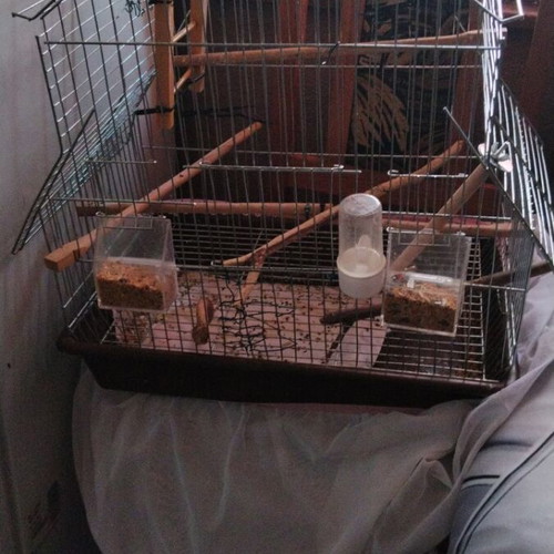 Birdcage for small and medium birds with house-shaped roof and accessories