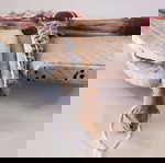  Καράβι θαλασσόξυλα