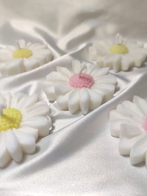 Daisy candle new with fragrances