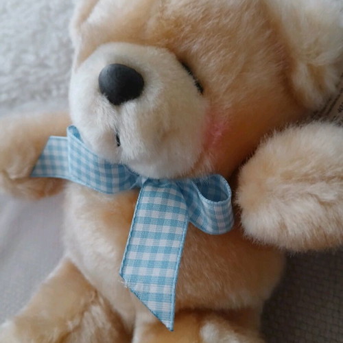 Forever Friends Hallmark teddy bear new with tags 19cm