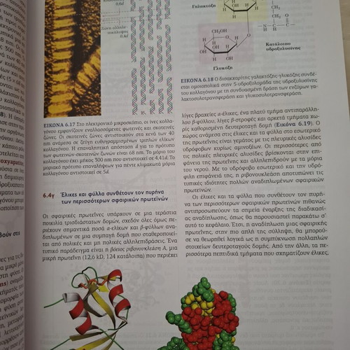Biochemistry Book university edition in Greek, like new