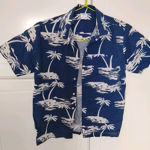 Zara kids summer shirt like new, size 10 (140 cm)