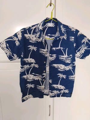 Zara kids summer shirt like new, size 10 (140 cm)