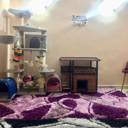 Shaggy rugs used in two colors 200x250 and 170x240