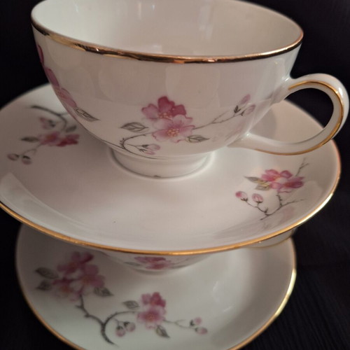 Winterling Bavaria Germany coffee set 14 pieces like new, porcelain