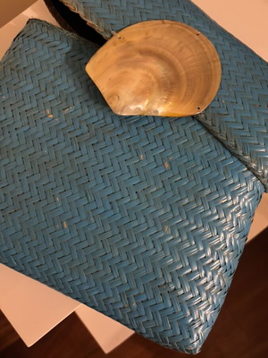 Summer bag with shell like new