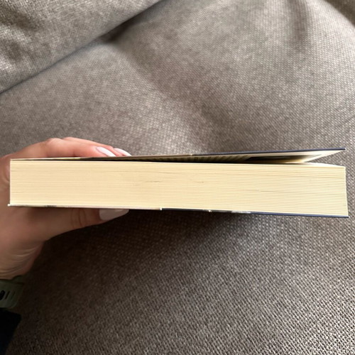 Book The Painter and His Muse by Joan Harris like new