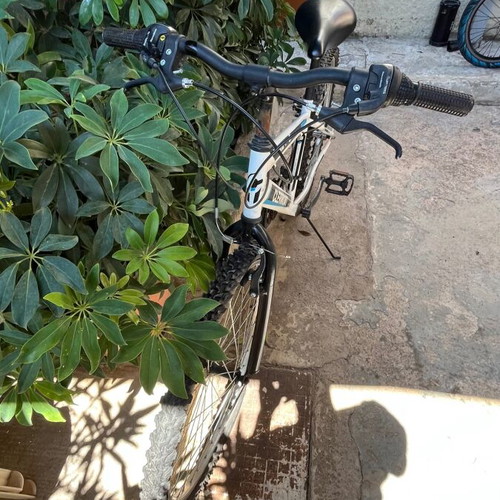 Mountain bike, white, disc brakes, gears