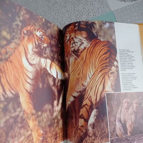 Great Children's Encyclopedia Animal Kingdom 1 used
