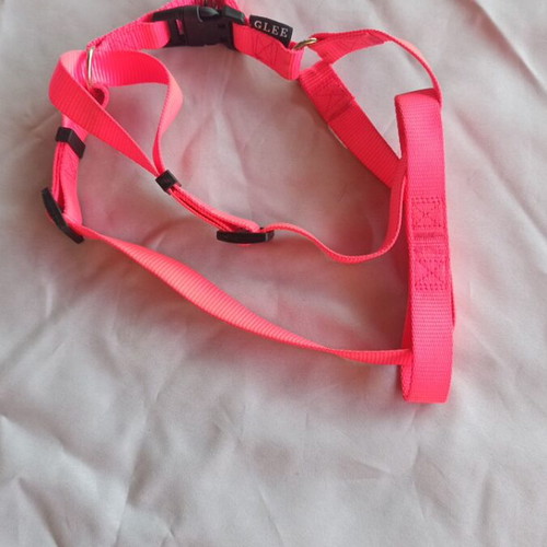 Dog leash and harness set GLEE like new, adjustable, reflective