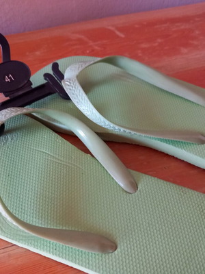 Plastic Flip Flops Size 41 New