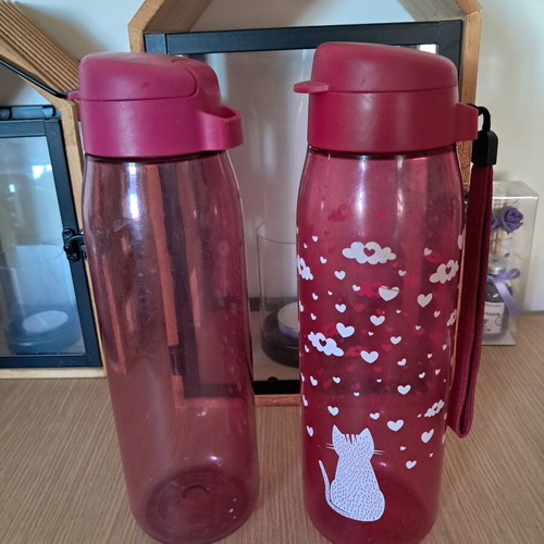 Tupperware water bottles used, pack of 2, 750 ml each