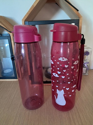 Tupperware water bottles used, pack of 2, 750 ml each