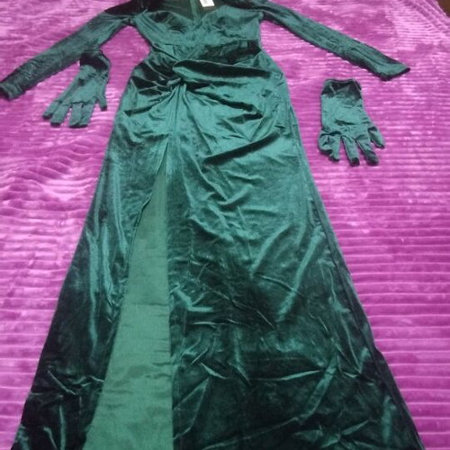 Velvet dress green cypress one size new with gloves