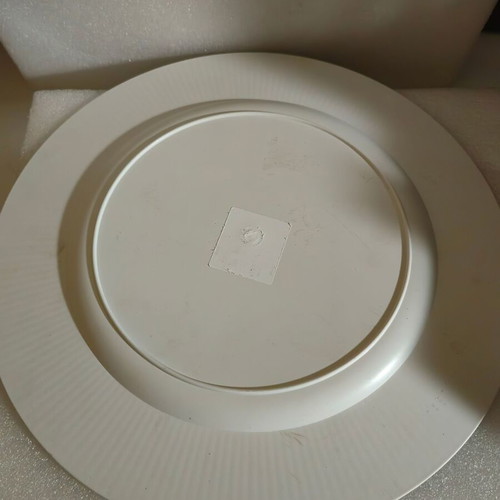 Plastic decorative tray used condition
