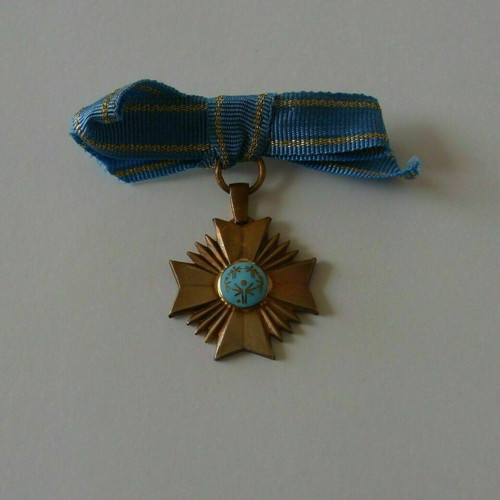 Athens 2011 Special Olympics silver pin like new