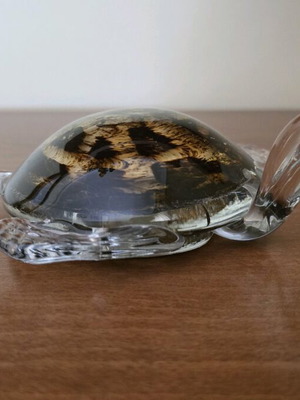 Glass decorative turtle like new