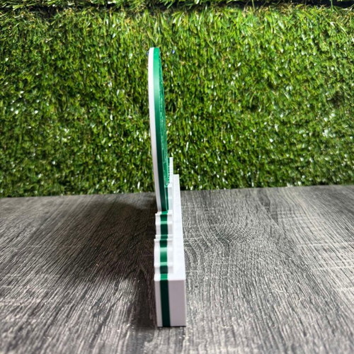 3D Printed Panathinaikos Decorative 20cm made to order