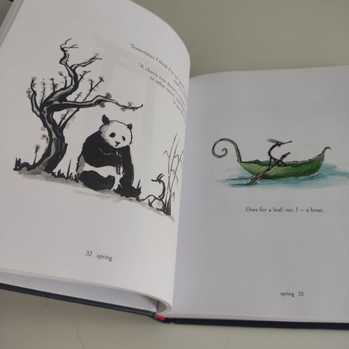 Big Panda and Tiny Dragon children's book like new, English