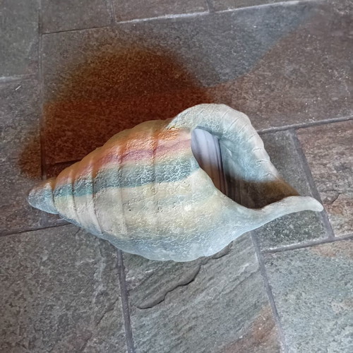 Ceramic sculpture seashell with embossed surface and painting technique new