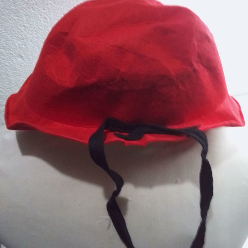 Pandigton carnival hat used