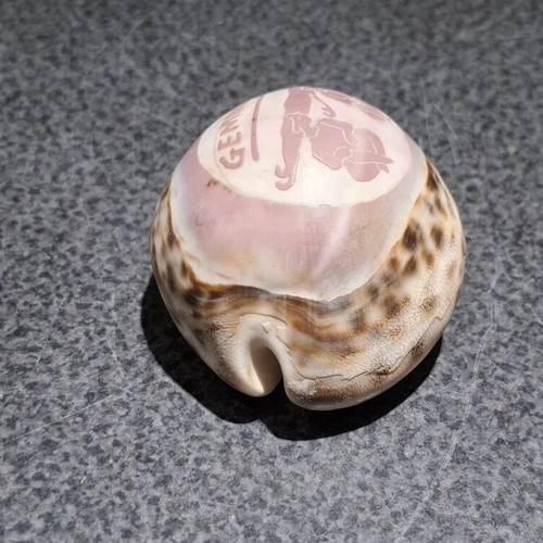 Tiger Cowrie shell used, handcarved Gemini zodiac decoration