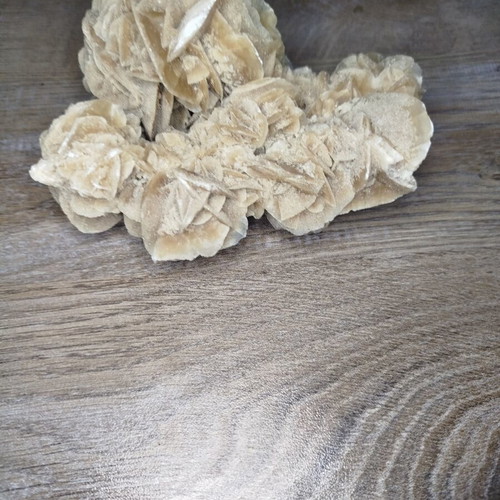 Desert rose used, approximately 13cm