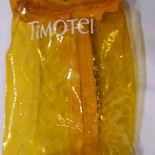 Plastic Transparent Organizer Bag Collectible like new