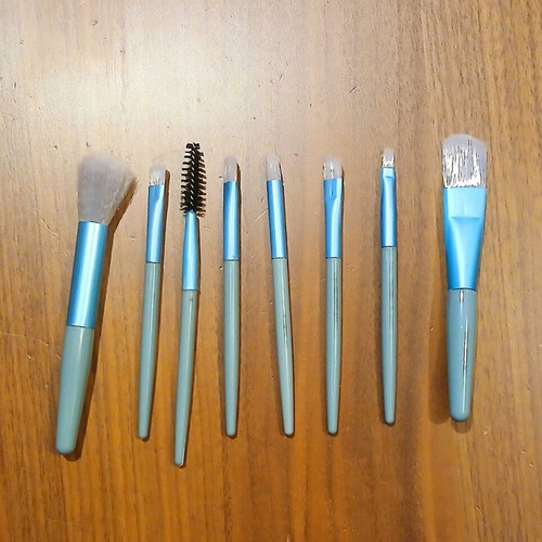 Makeup brush set new 8 pcs with carrying case