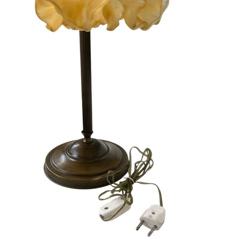 Bronze double lamp like new with vintage glass
