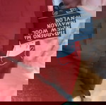  Ταγιερ