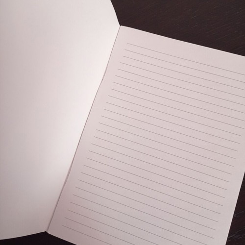 Lets Kiss A5 pink notebook with golden hedgehogs