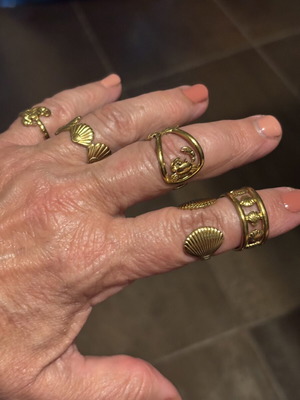 Set of 6 gold-tone stainless steel rings with sea shell designs