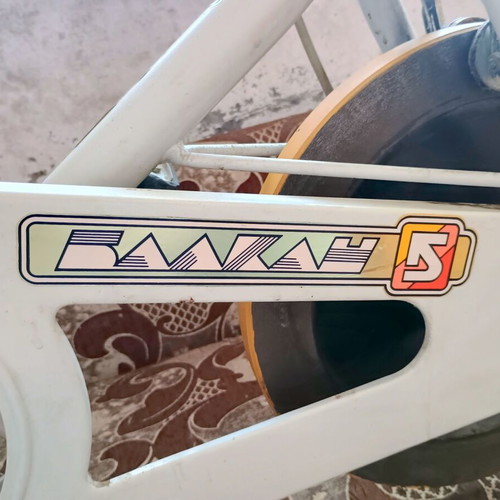 Balkan S Retro Exercise Bike, vintage Bulgarian fitness equipment