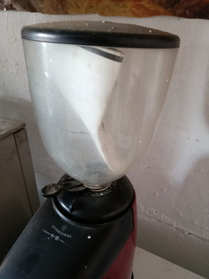 Wega professional coffee grinder