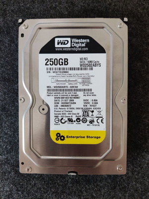 WD 250GB 3.5" SATA II 7200 RPM Enterprise Storage hard drive