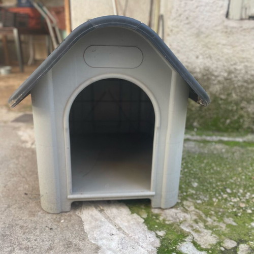Dog house new with window, medium size