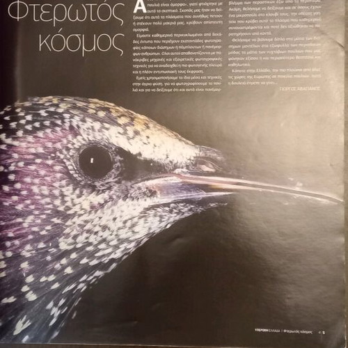 Fterotos Kosmos photography book used