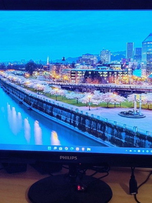Philips 247E4L 24" Monitor 1920x1080 5ms 16:9 VGA HDMI with Built-in Speakers like new