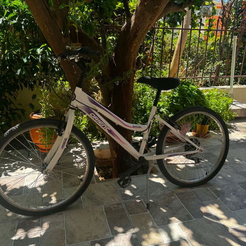 Orient Excel 24" 21-speed children's mountain bike