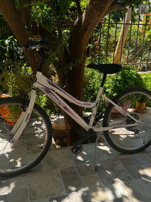 Orient Excel 24" 21-speed children's mountain bike