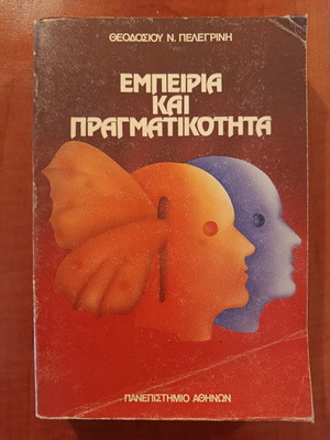 Experience and Reality by Theodosios Pelegrinis, like new, philosophy book