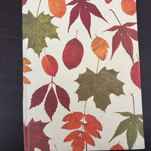Neochart notebook like new with hardcover and leaf designs