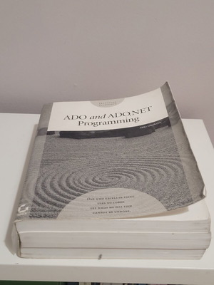 Programming book ADO and ADO.NET used, English, with CD