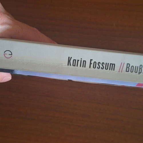 Silent Scream by Karin Fossum, Greek edition