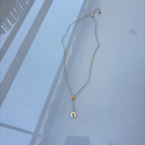 Horseshoe Necklace like new
